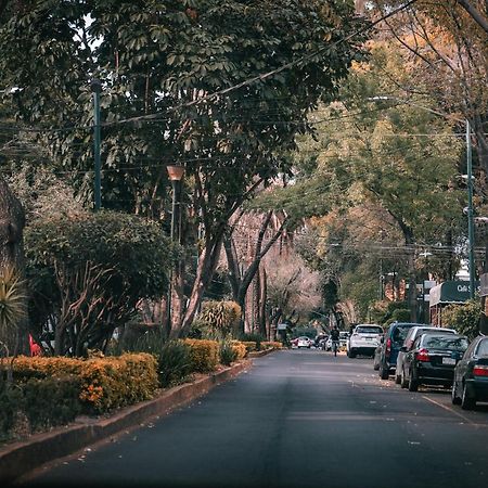 Modern Studio, Rooftop Charm, Cdmx Center2 เม็กซิโกซิตี้ ภายนอก รูปภาพ