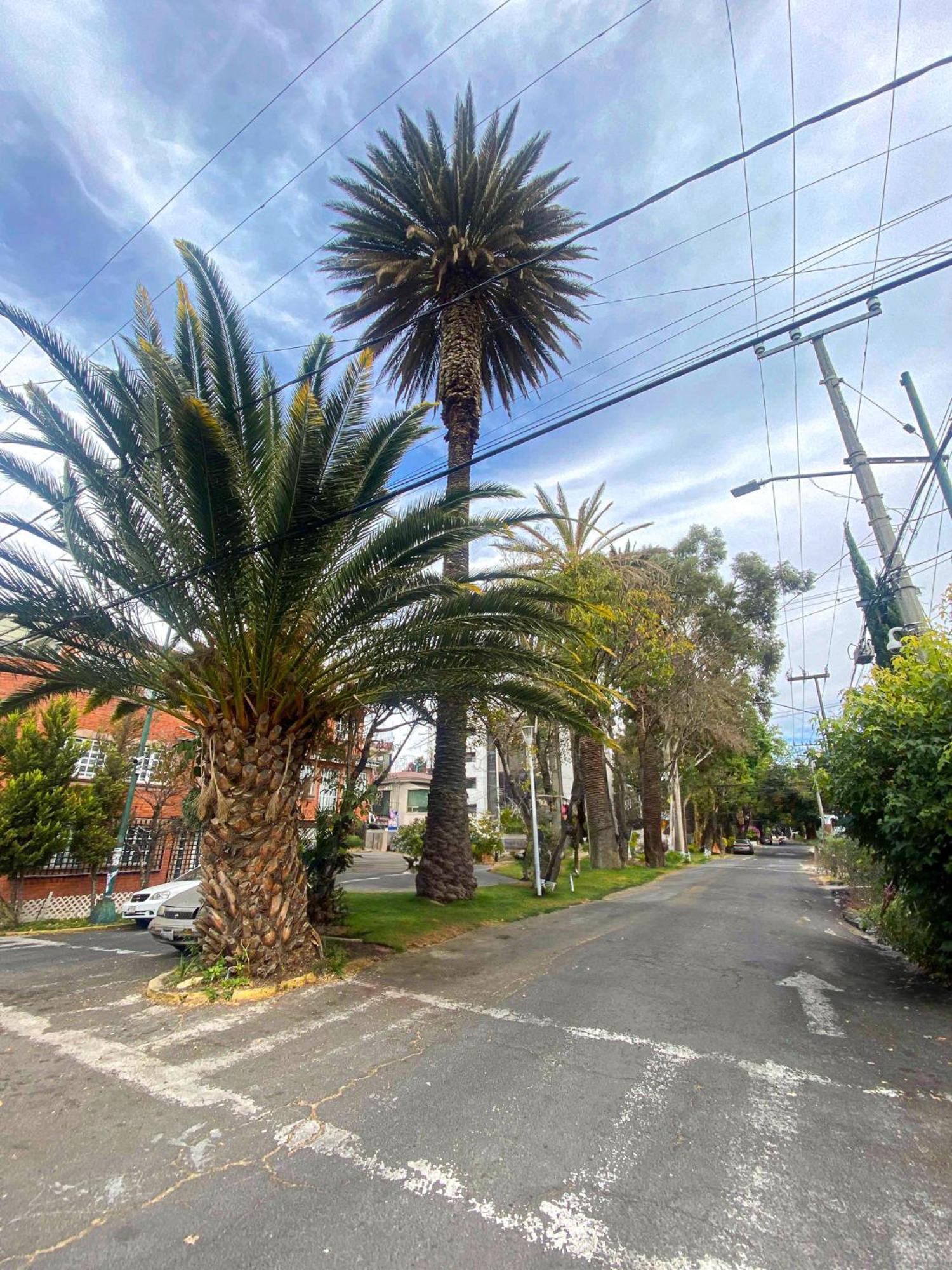 Modern Studio, Rooftop Charm, Cdmx Center2 เม็กซิโกซิตี้ ภายนอก รูปภาพ