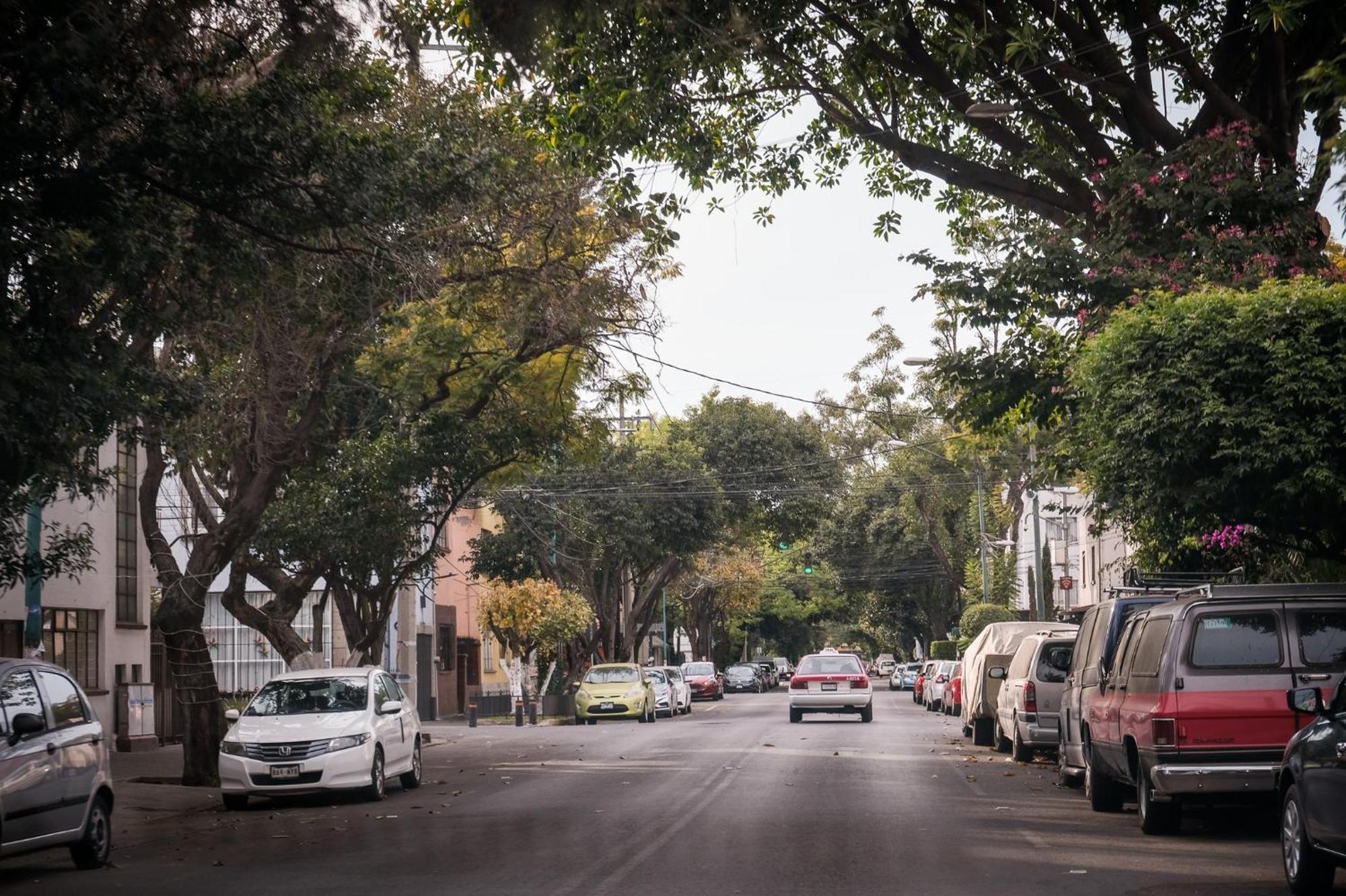 Modern Studio, Rooftop Charm, Cdmx Center2 เม็กซิโกซิตี้ ภายนอก รูปภาพ